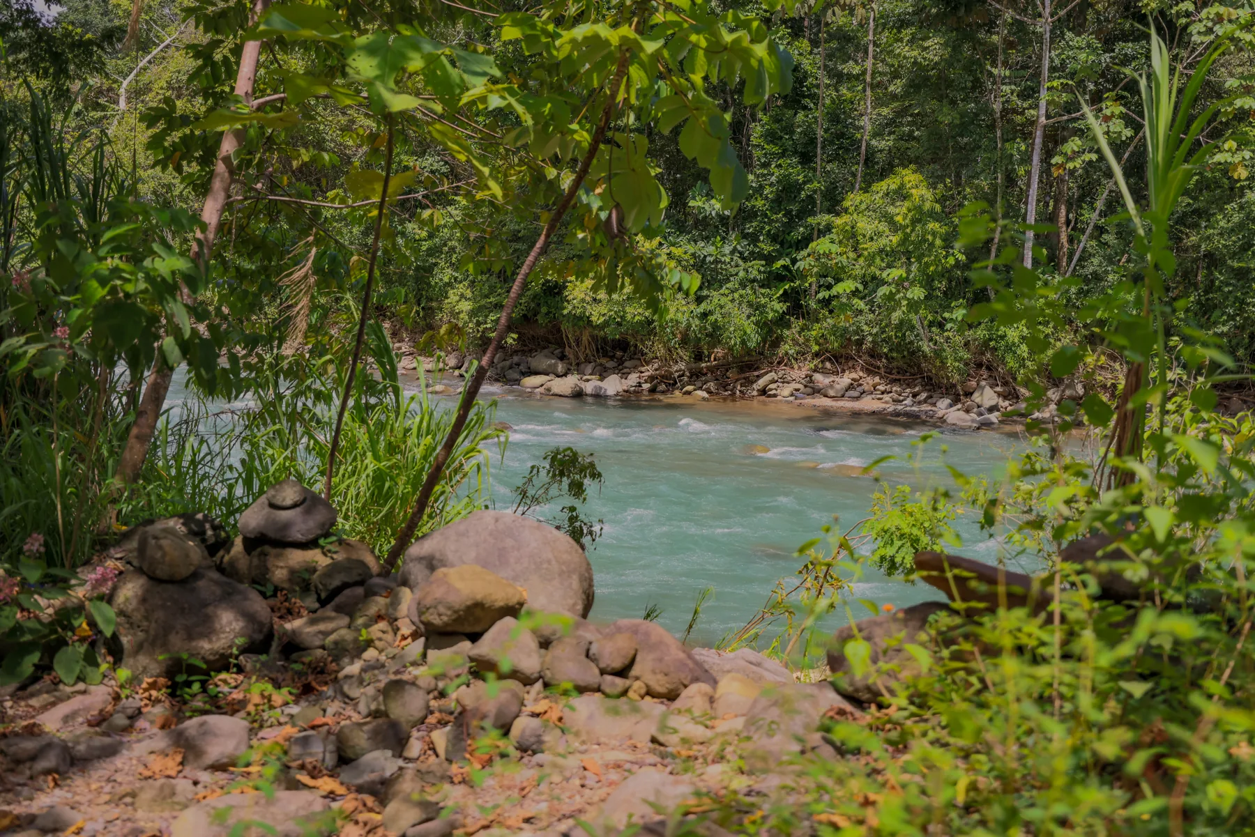 The river at the edge of the property