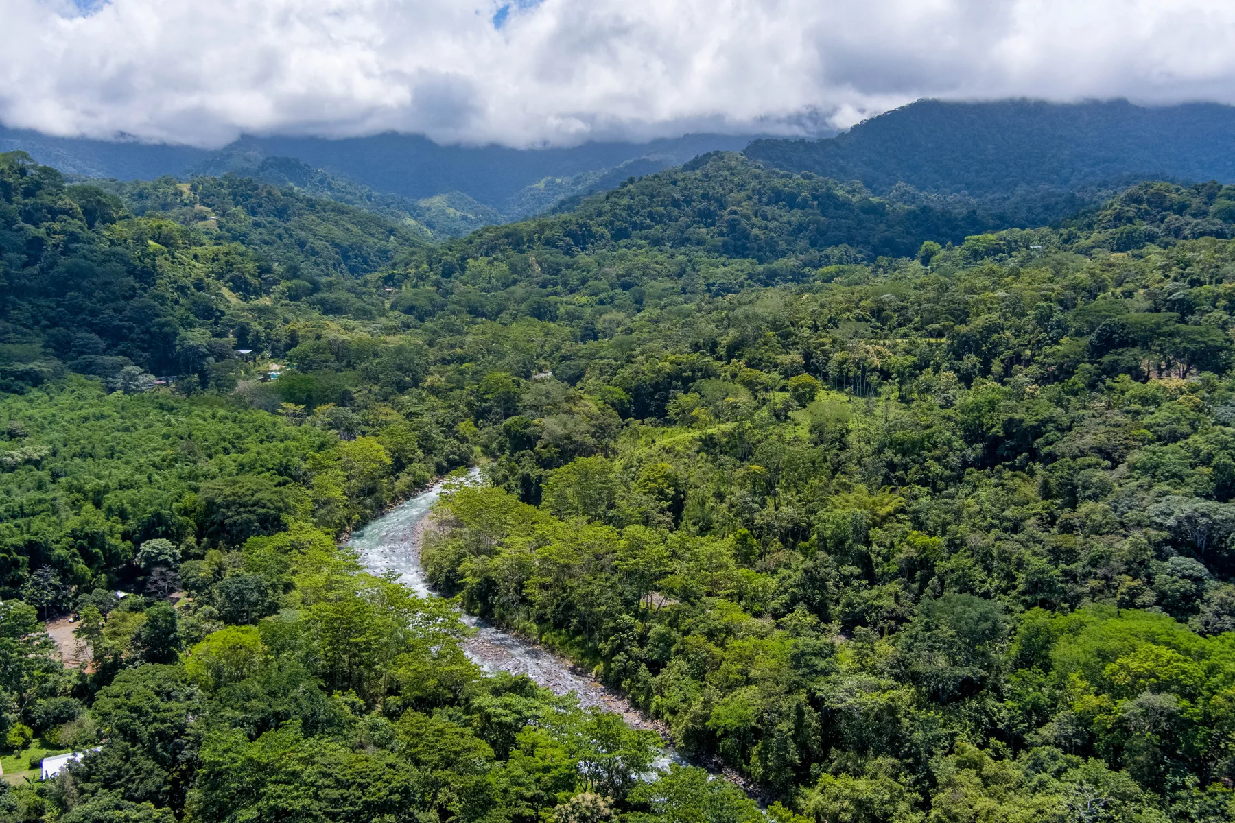 The river valley beside Synergy