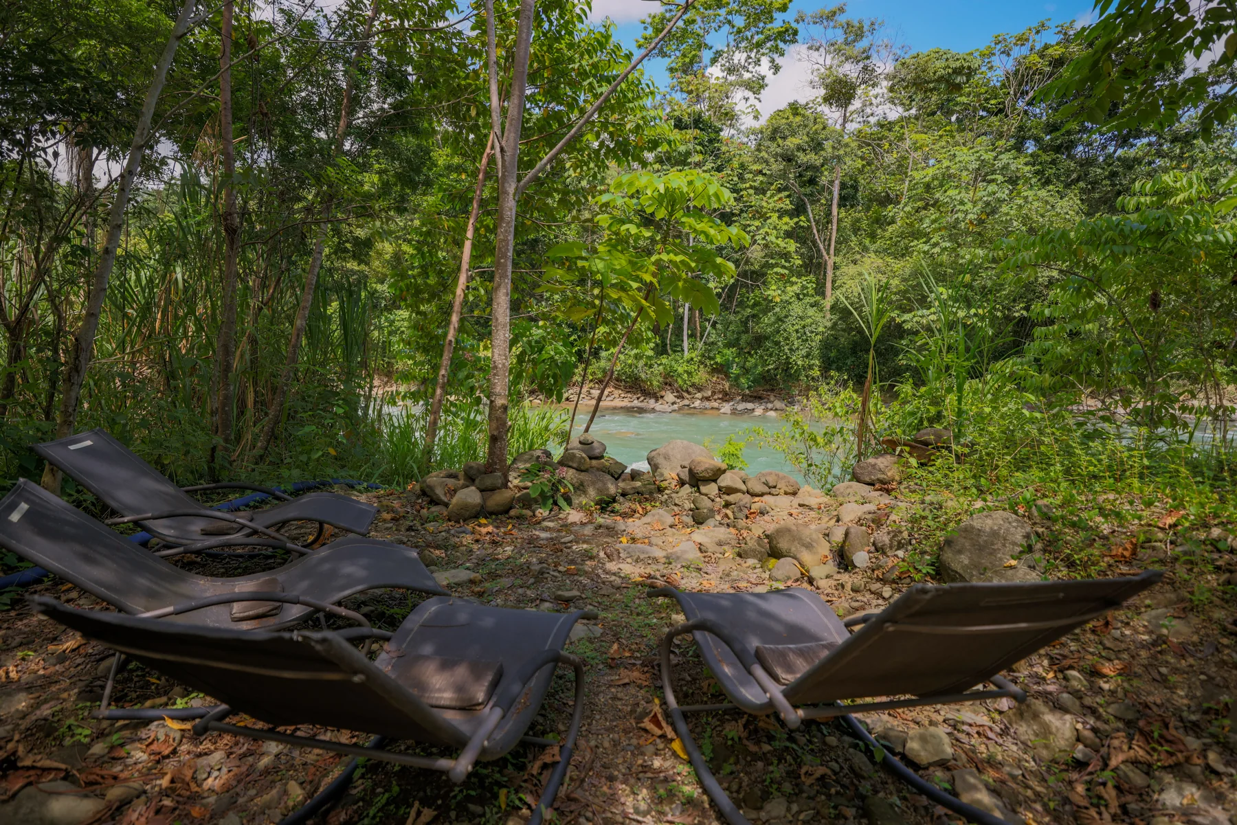 Lounge chairs facing the river